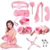 adulttoys-india-10-pieces-bdsm-bondage-kit-pink